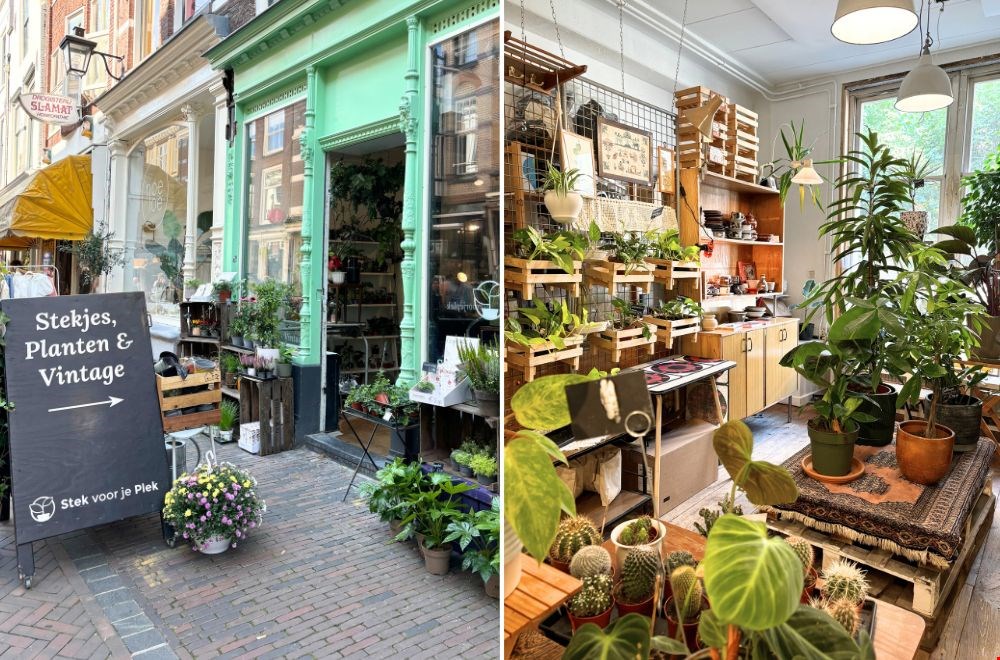 Vintage en planten bij Stek voor je Plek Vintage en planten bij Stek voor je Plek